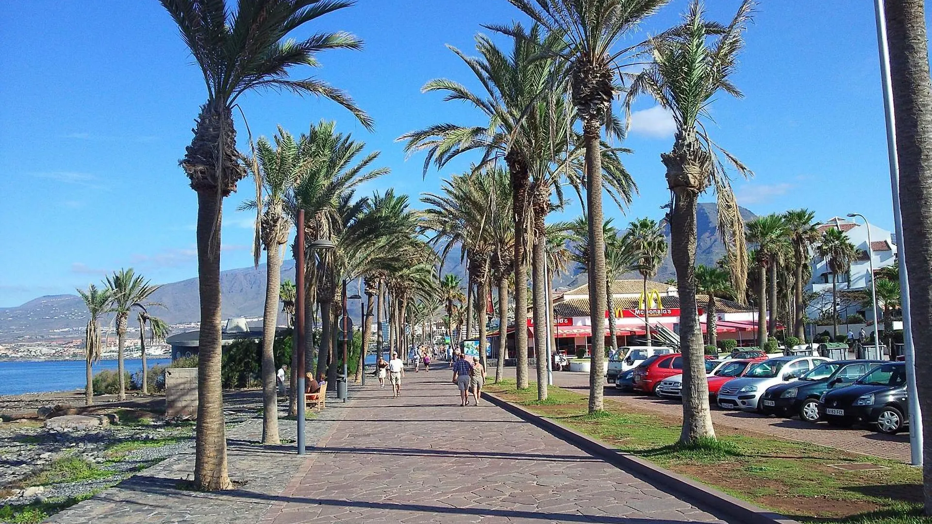 Daire Appartement In Playa De Las Americas Mit Terrasse
